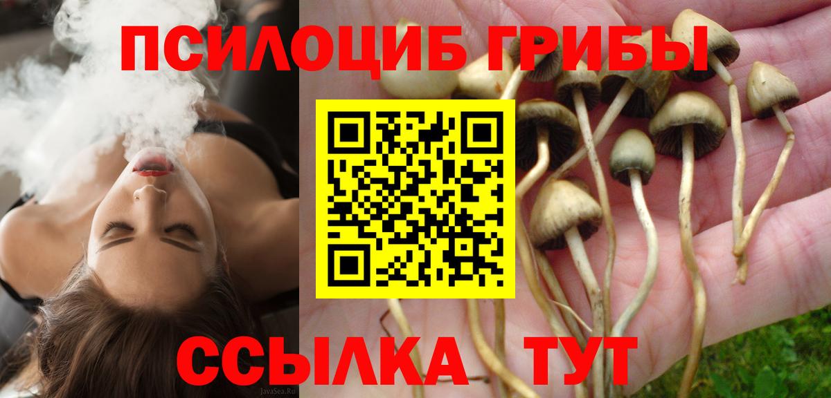 Сафоново  Галлюциногенные грибы Cubensis  Вход с VPN 